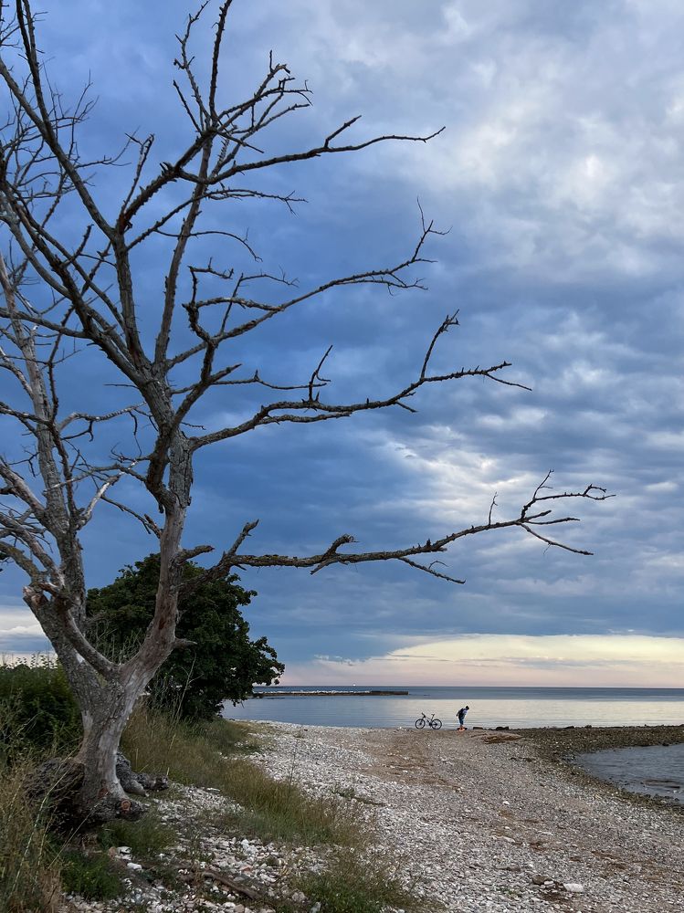 Photograph by Tatiana Chernaletskaya