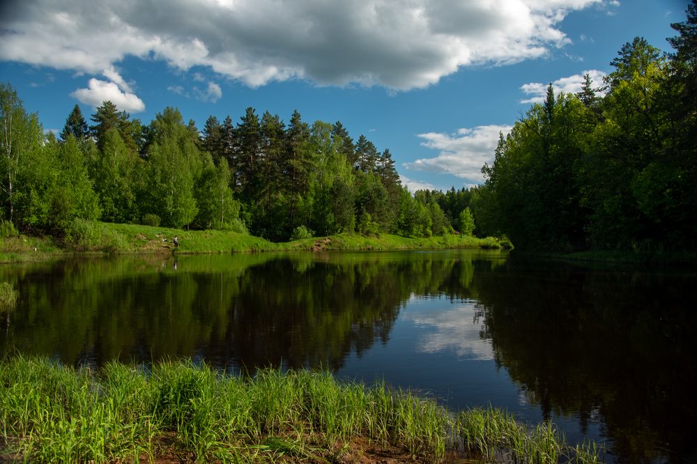 Photograph by Александрова Ольга