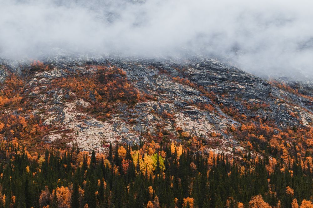 Photograph by Никита Волокитин