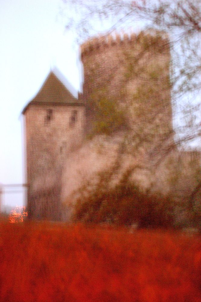 Photograph by Dariusz Gruszka