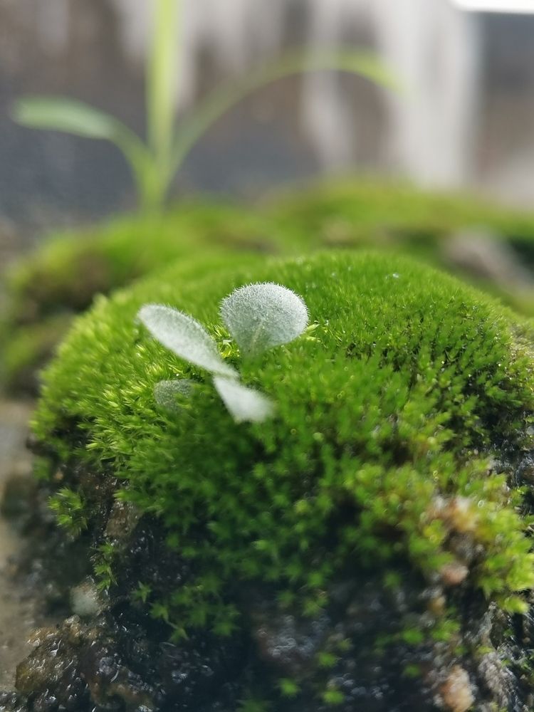 Photograph by Anil Yadav