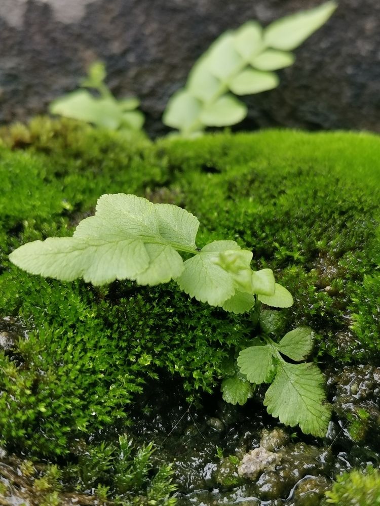 Photograph by Anil Yadav