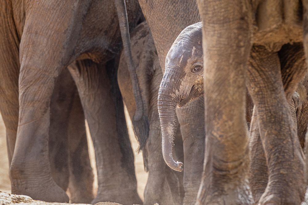 Photograph by Ricardo Ferreira