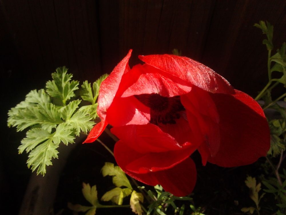 Photograph by Наталья Жигарева