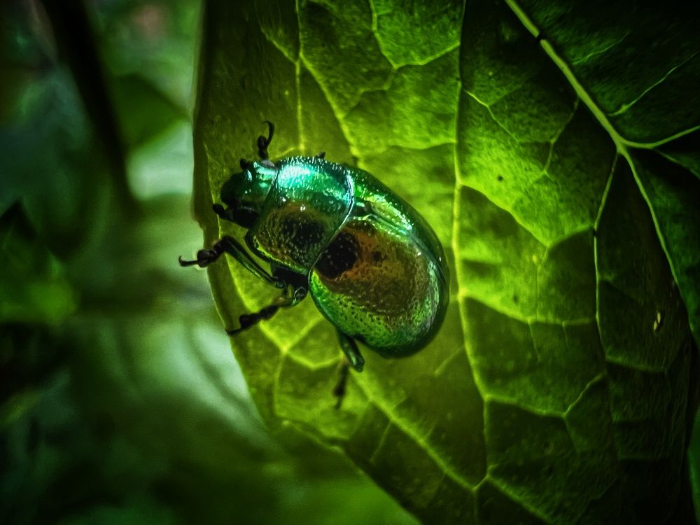 Photograph by Вера Рудик