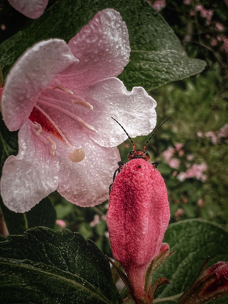 Photograph by Вера Рудик