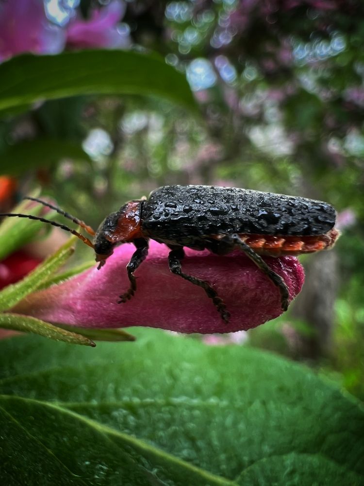 Photograph by Вера Рудик