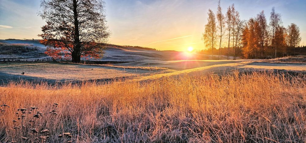 Photograph by Epp Tappel