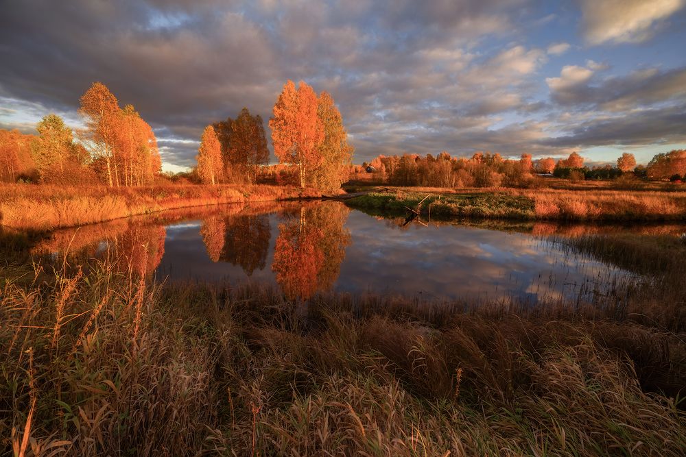 Photograph by Марина Мурашова