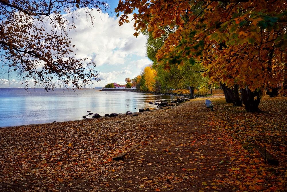 Photograph by Сергей Петрицкий