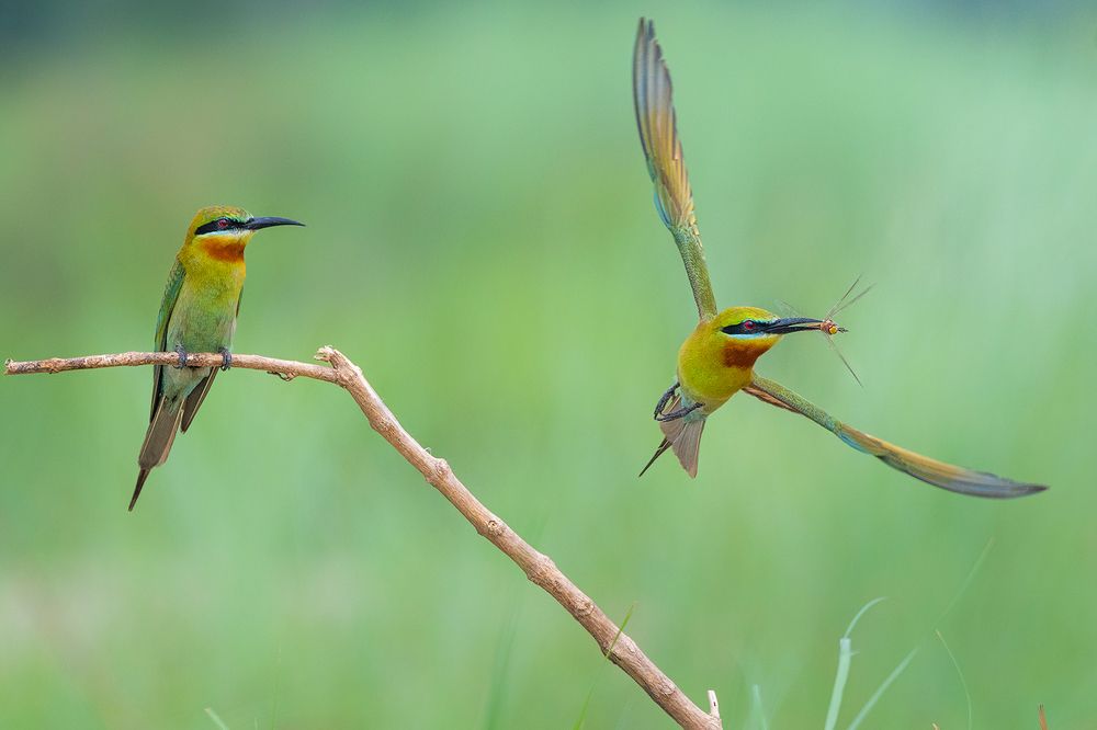 Photograph by Deb Jyoty Roy