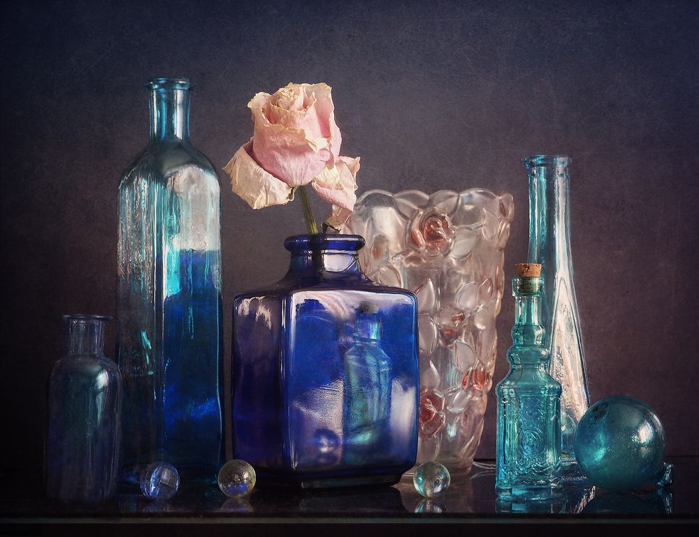 Фотография автора Vera Eremeeva