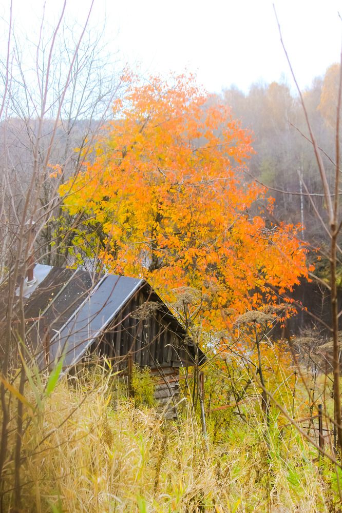 Photograph by Сергей Кочнев