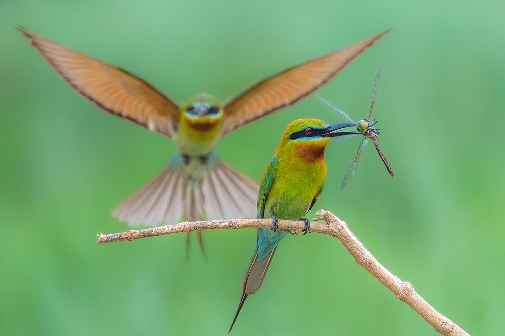 Photograph by Deb Jyoty Roy