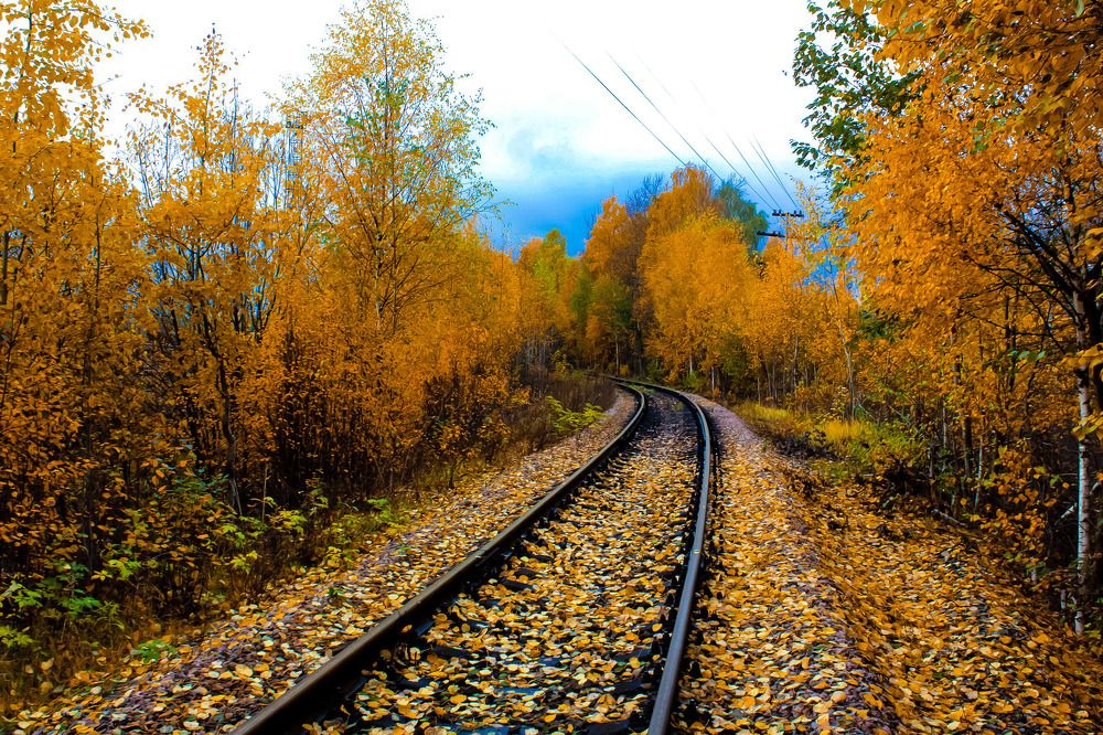 Photograph by Сергей Кочнев