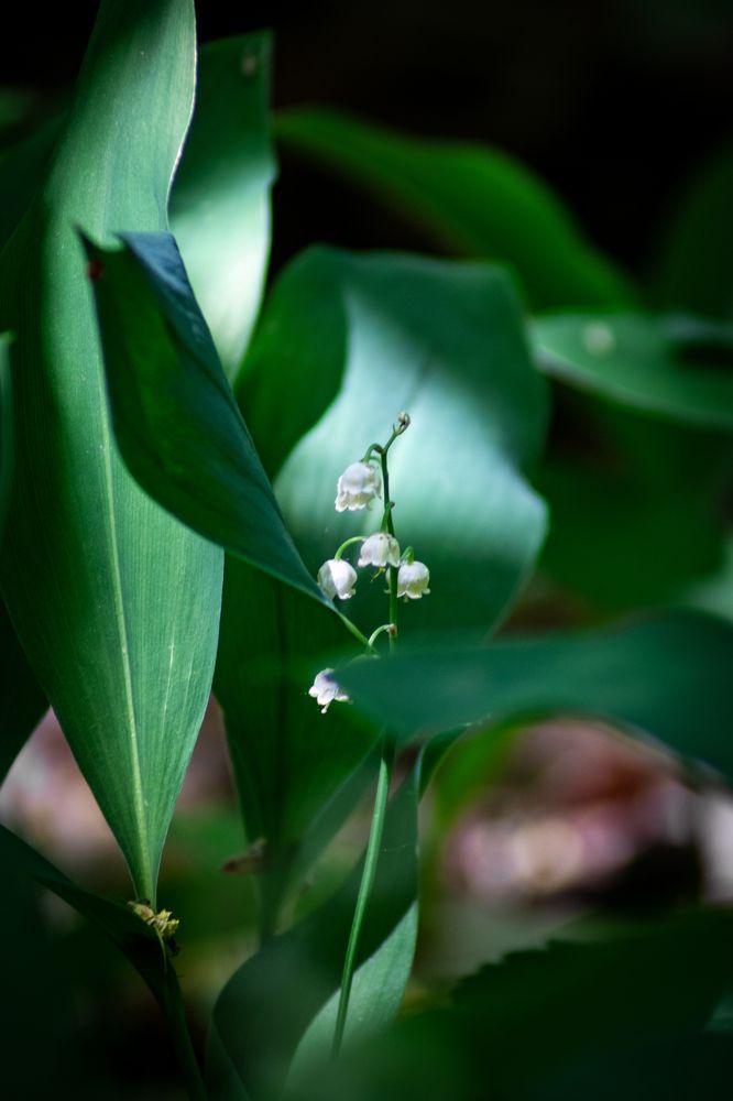 Photograph by Дамир Давронов