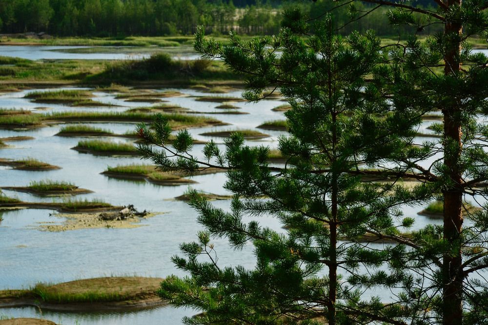 Photograph by Яна Гимадиева