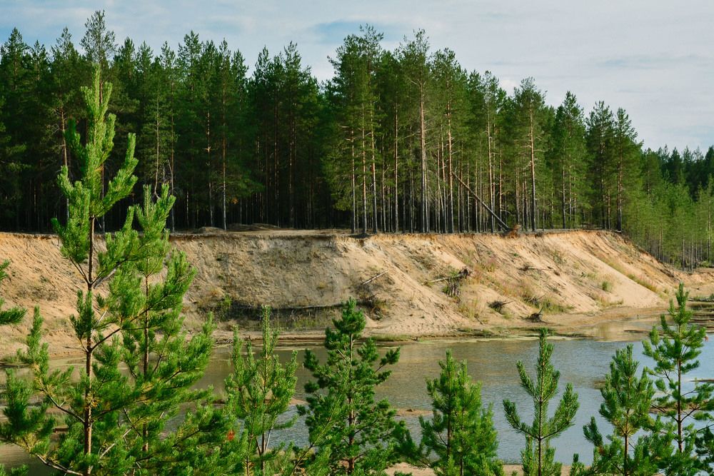 Photograph by Яна Гимадиева