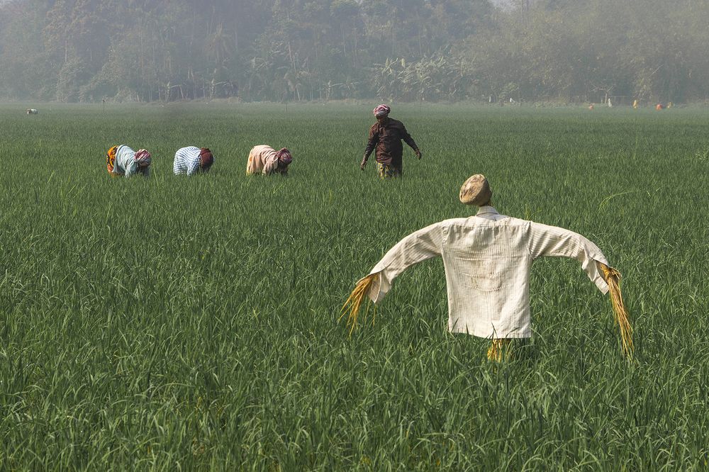 Photograph by Arghyadip Sen