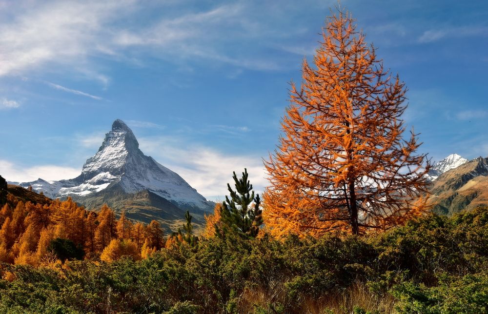 Photograph by Elena Wymann