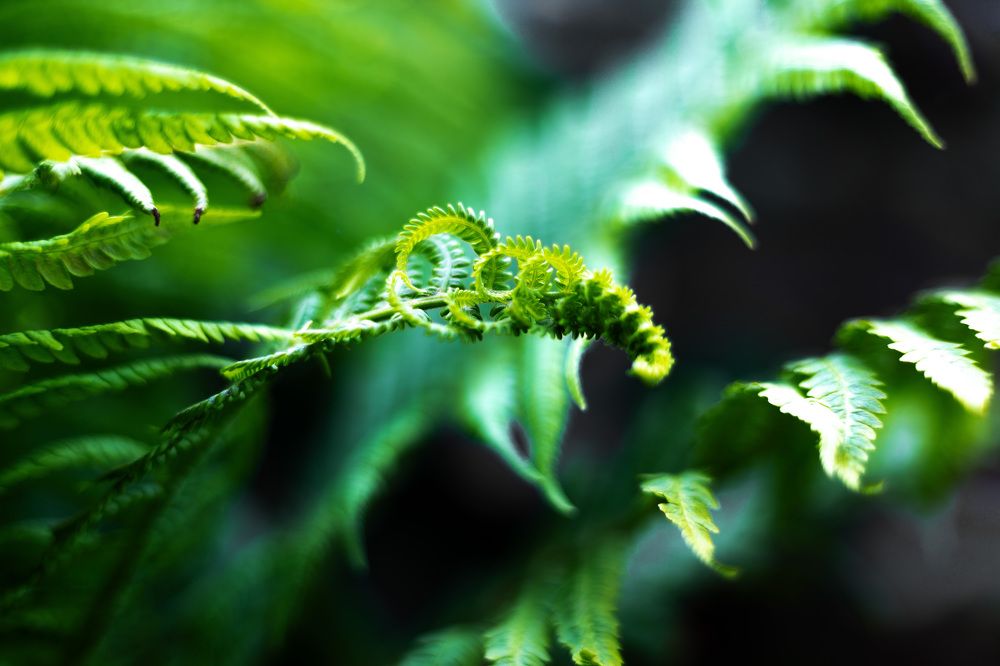 Photograph by Анастасия Панова