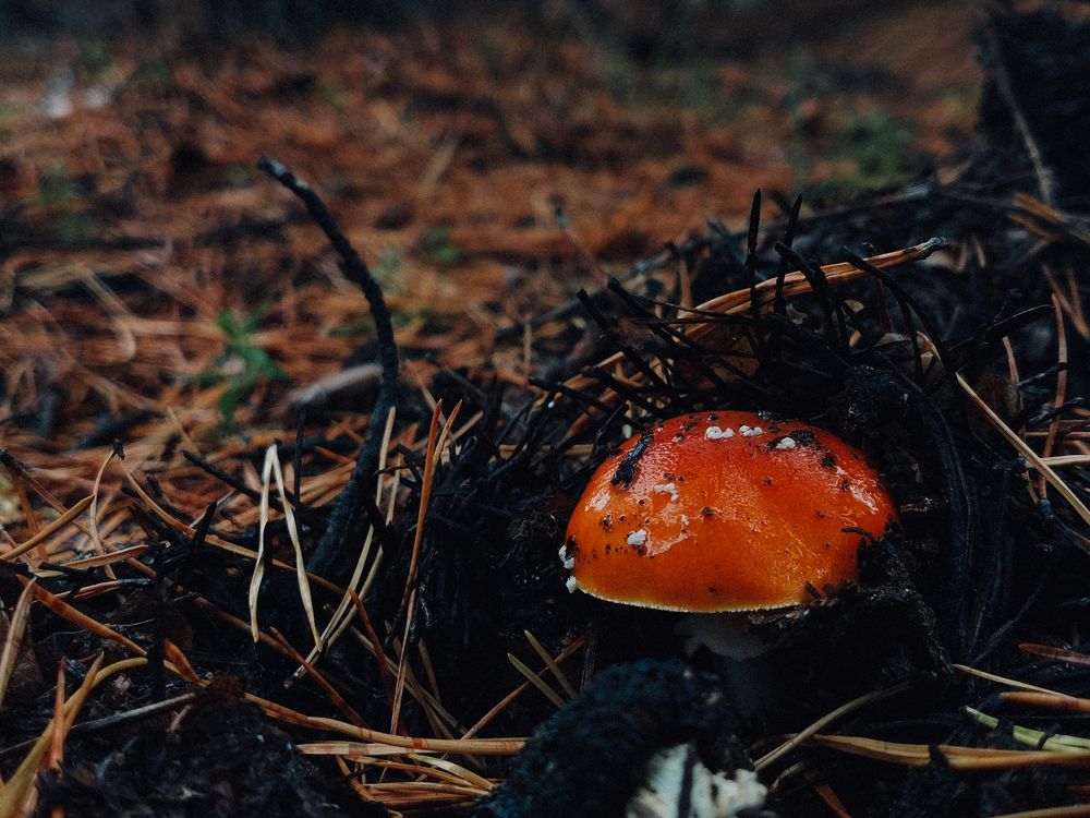 Photograph by Данил Батурин