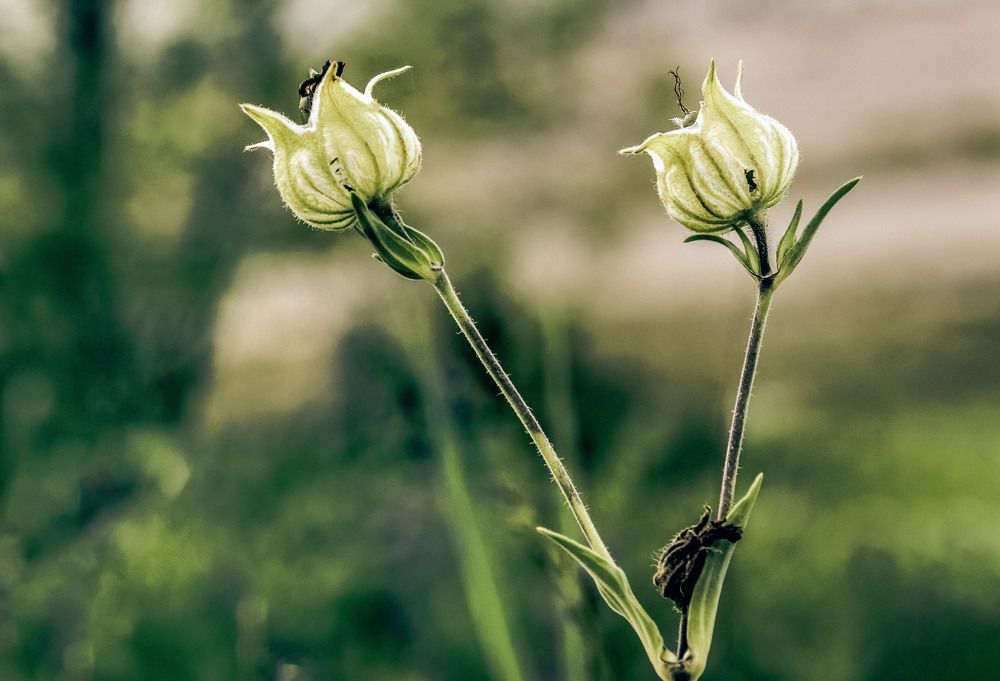 Photograph by Юлия Ковальчук