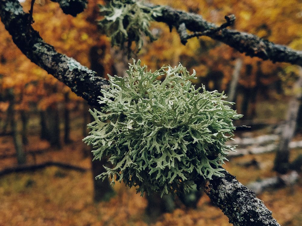 Photograph by Данил Батурин