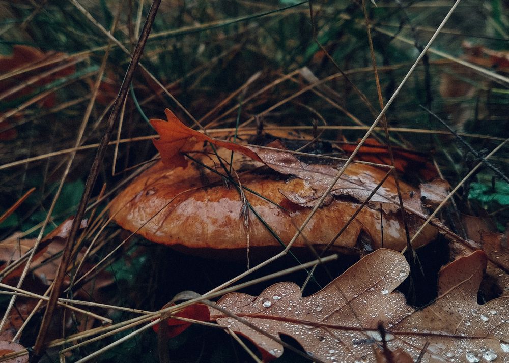 Photograph by Данил Батурин