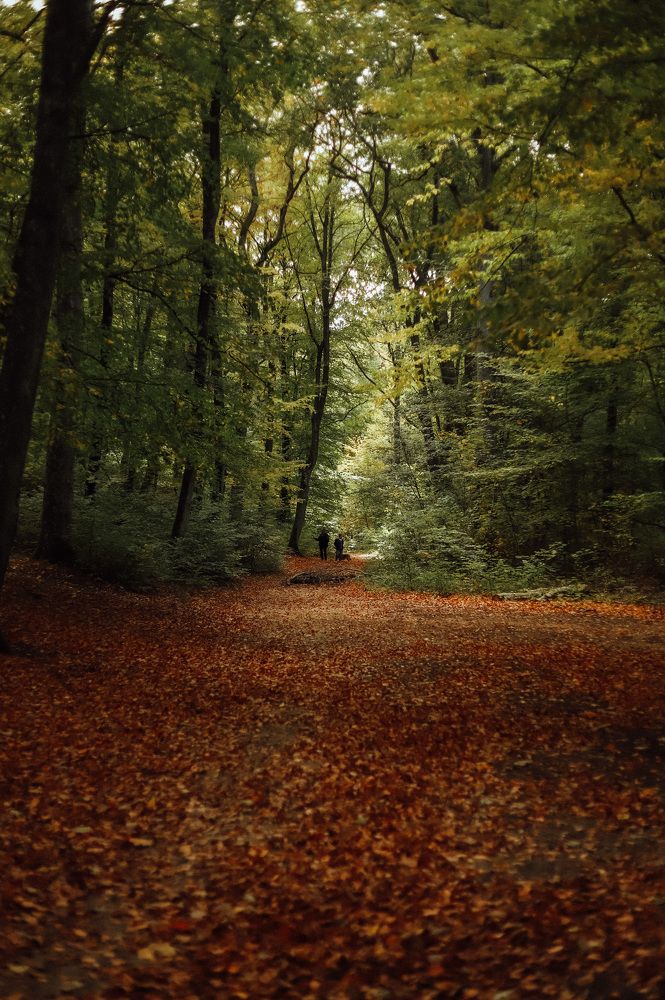 Photograph by Диана Новикова