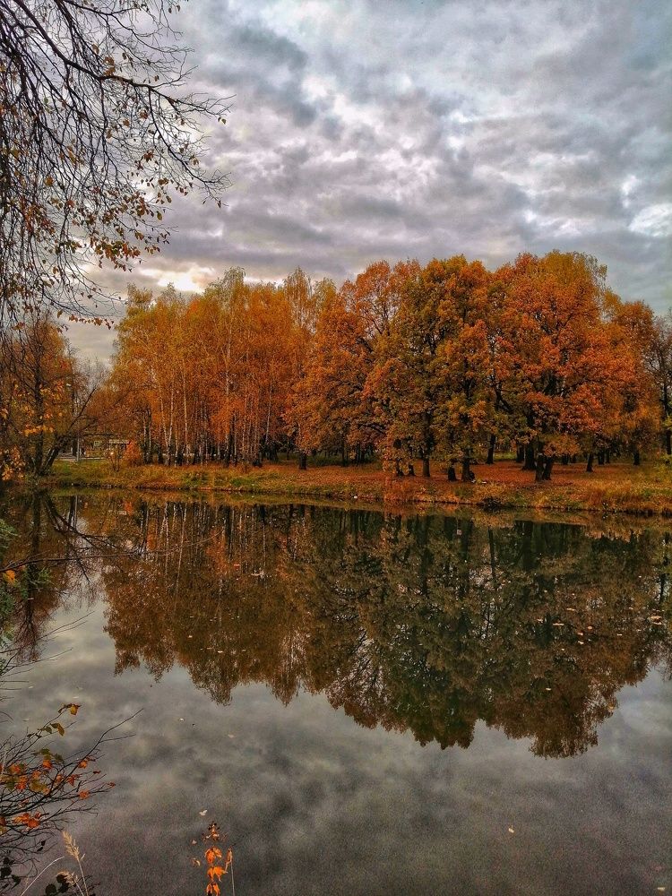 Photograph by Марцева Татьяна