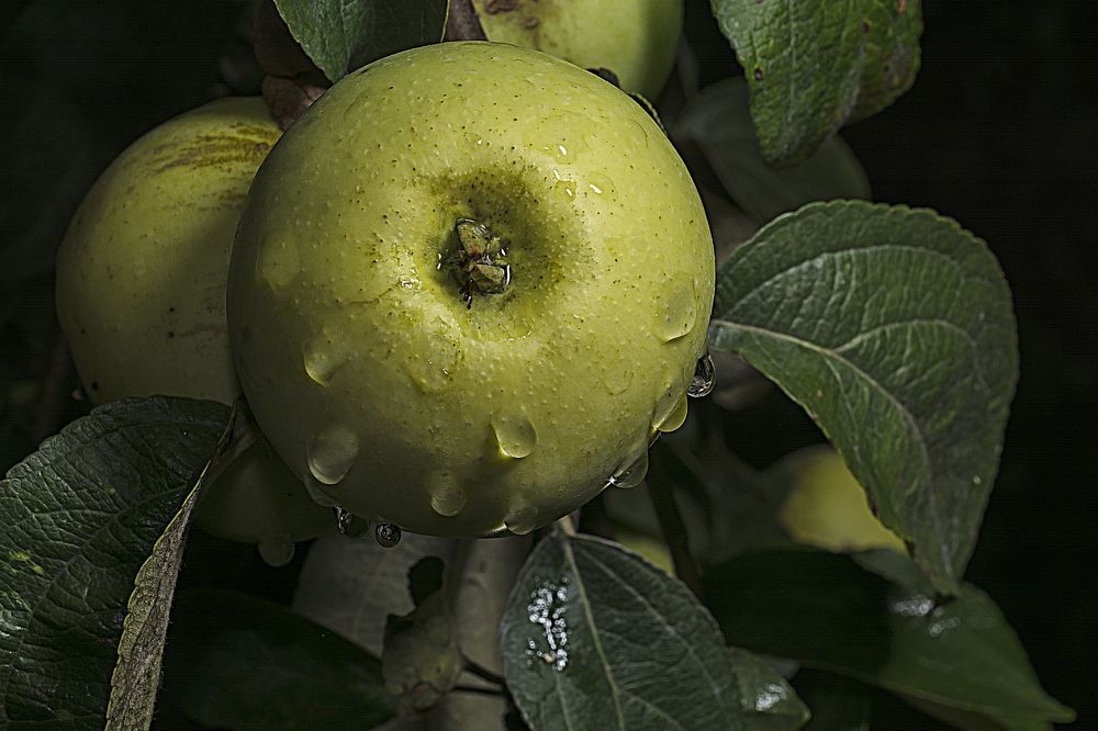 Photograph by Виктор Степанов