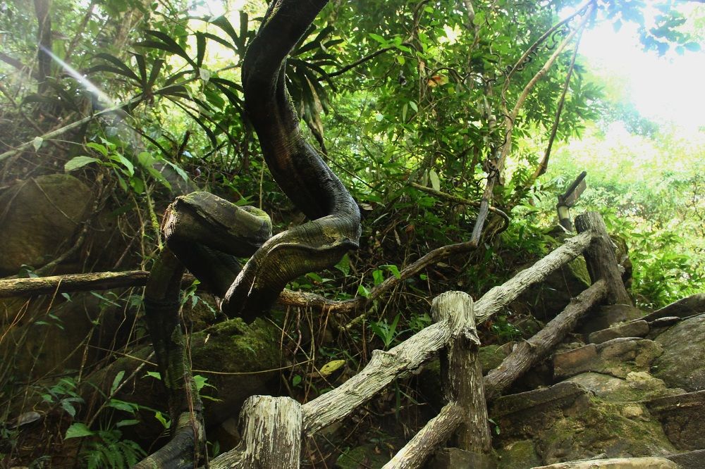 Photograph by Михаил Азаров