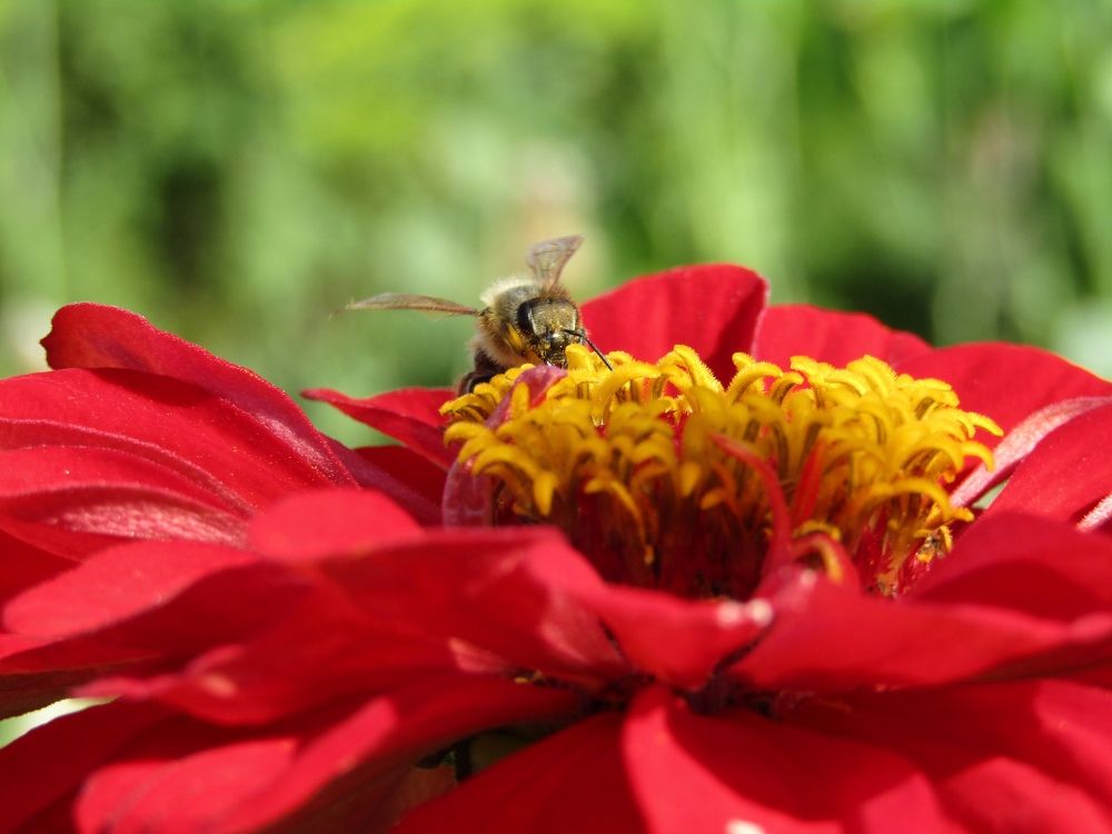 Photograph by Владимир Перминов