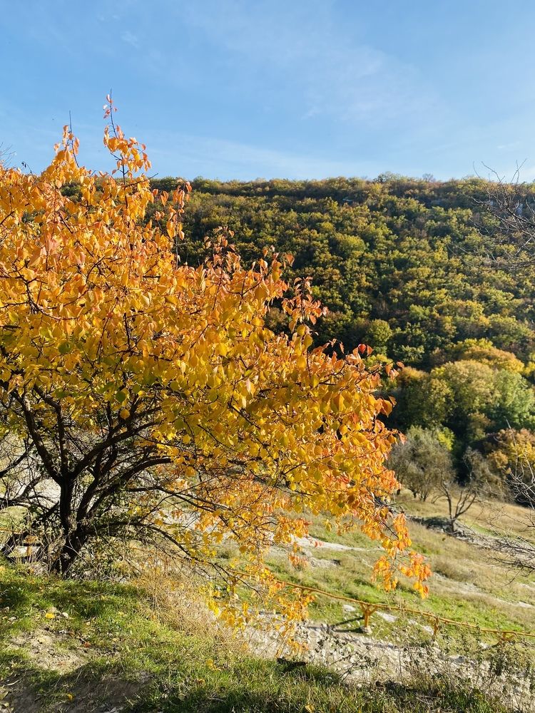 Photograph by ИРИНА ЗАЙЦЕВА