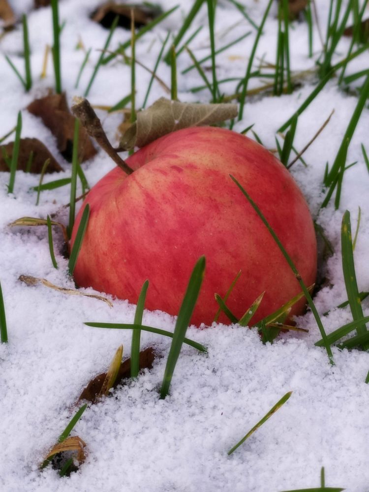 Photograph by Владимир Перминов