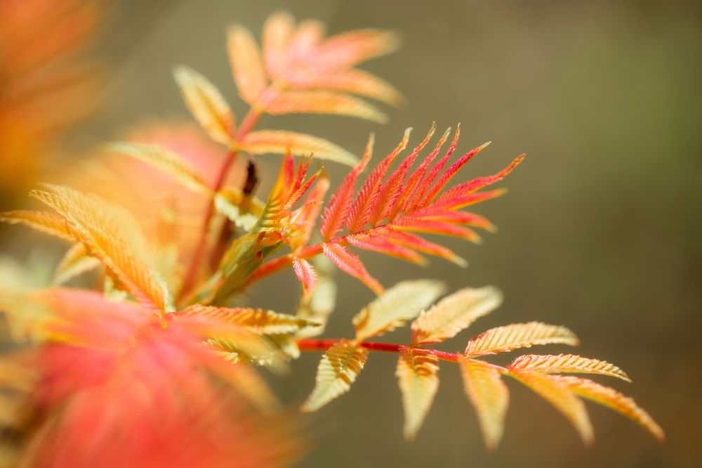 Photograph by Анастасия Петрова