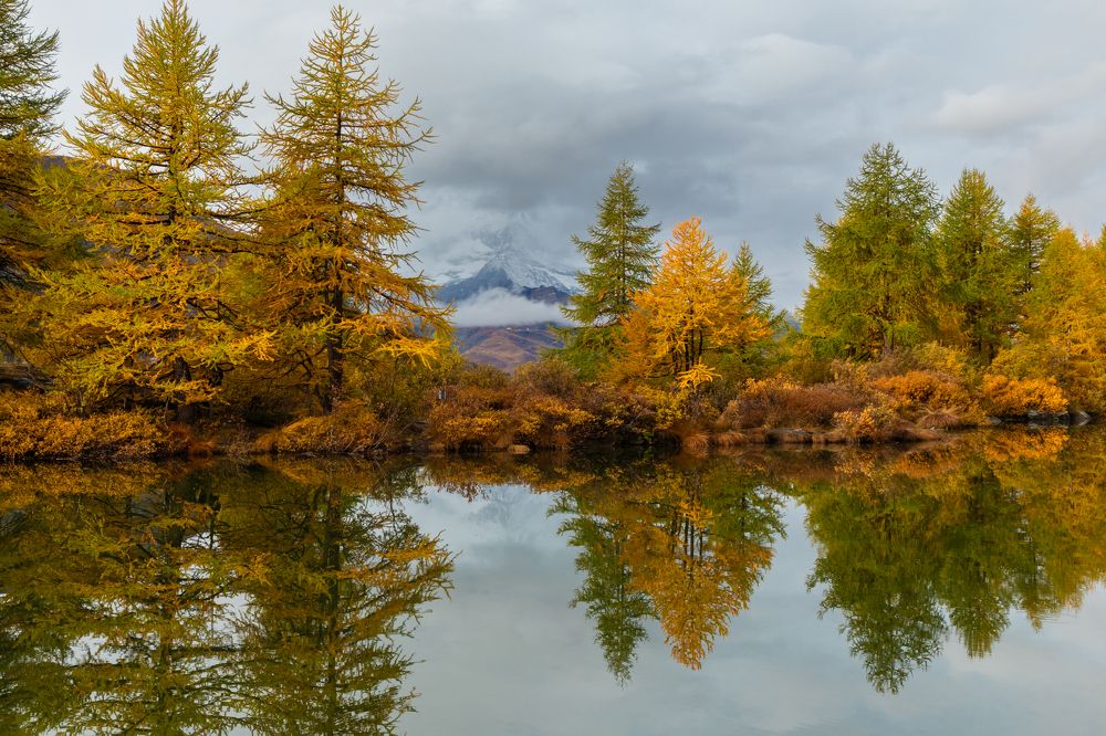 Photograph by Евгения Чех