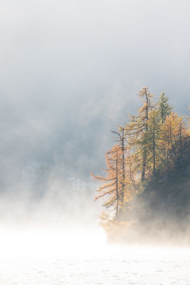 Photograph by Евгения Чех