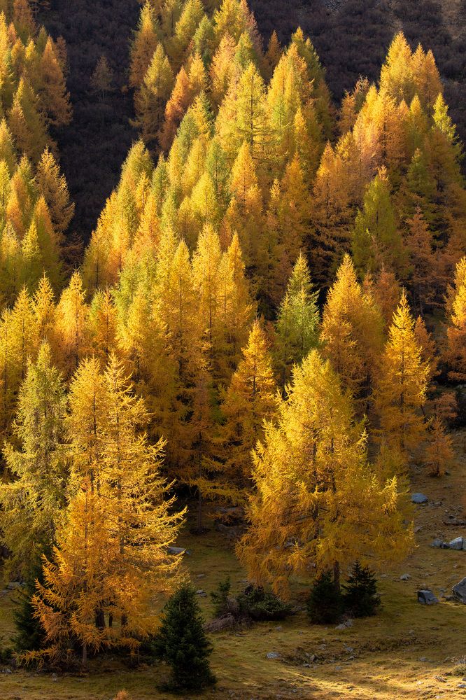 Photograph by Евгения Чех