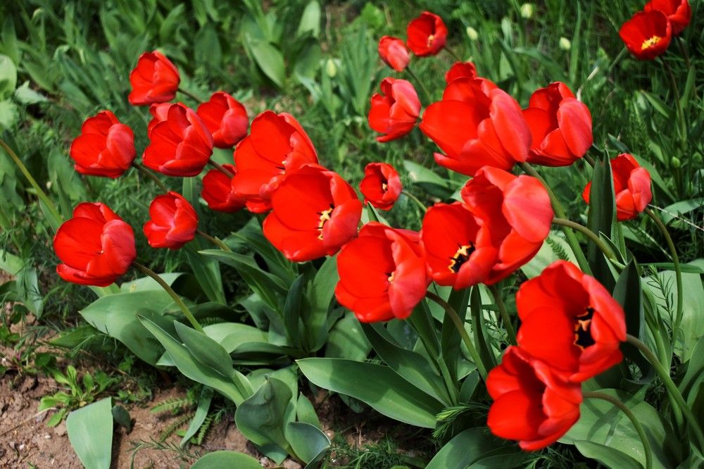 Photograph by Олександр Розум