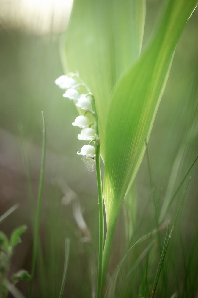 Photograph by Анастасия Петрова