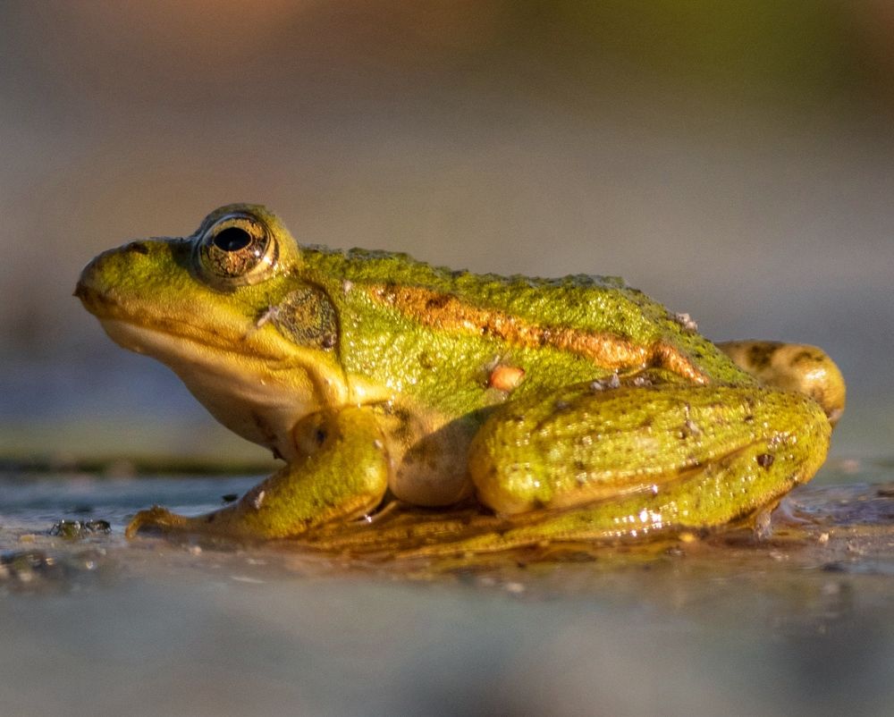 Photograph by Павел Краснослободцев