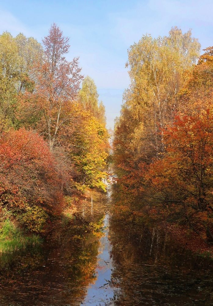 Photograph by Ирина Тынянкина