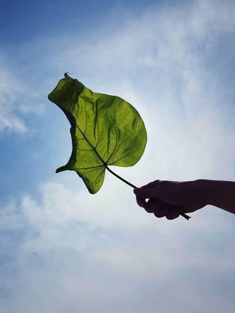 Photograph by Alexandru Manaf