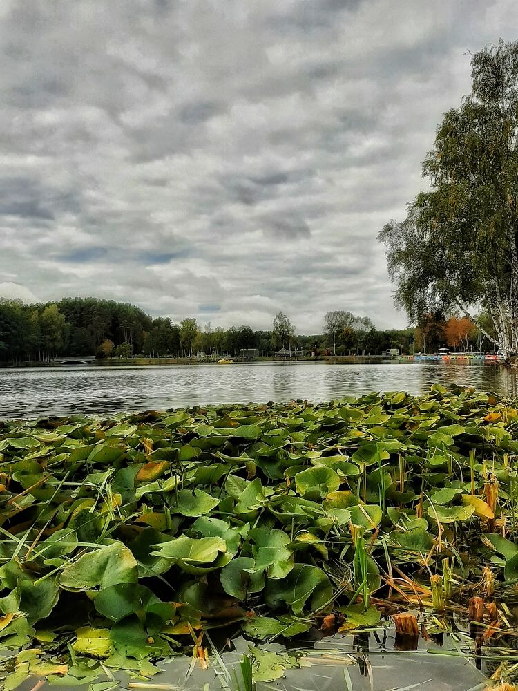 Photograph by Татьяна Якшук