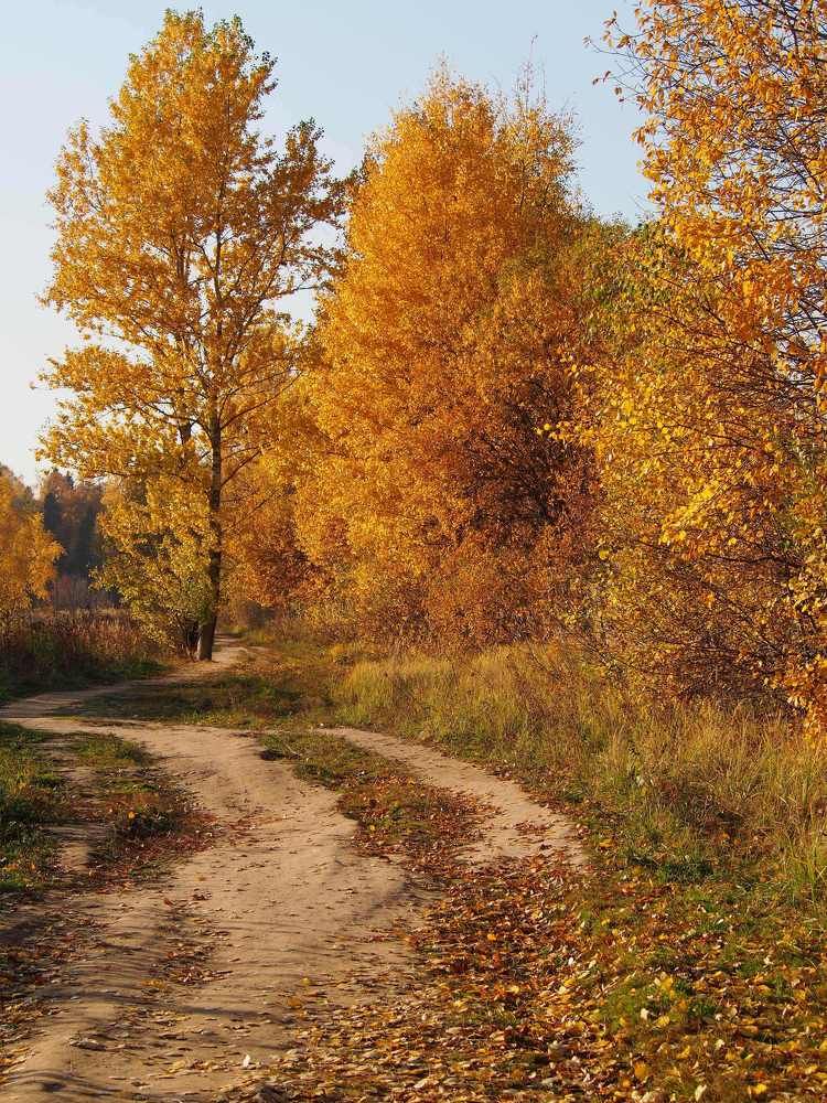 Photograph by Ольга Лысенко