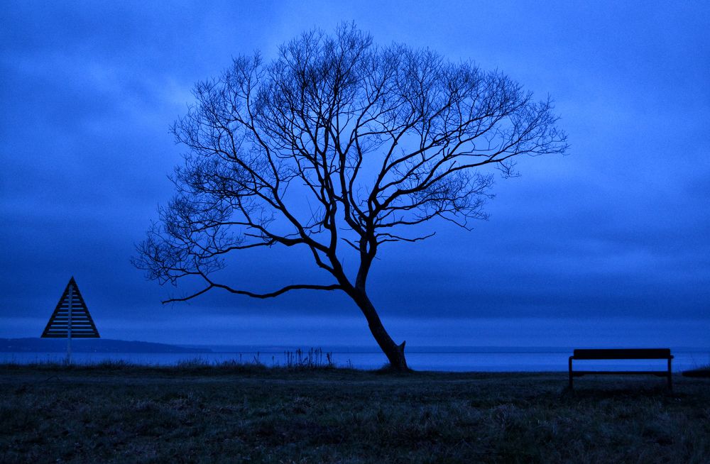 Photograph by Alexandru Manaf