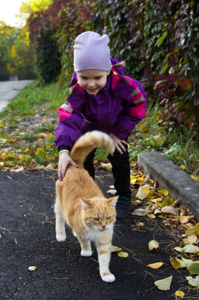 Некогда мне!