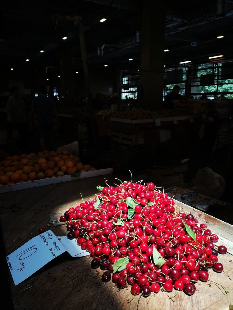 Photograph by Alexandru Manaf